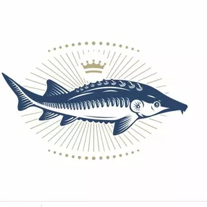 Осетр Осетр